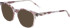 Morgan 1148 sunglasses in Grey
