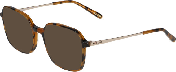 Morgan 2031 sunglasses in Brown
