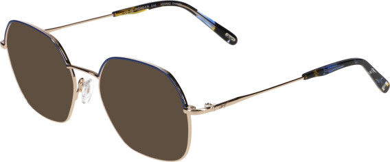 Morgan 3231 sunglasses in Gold/Blue