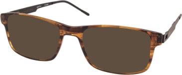 RIP CURL HOA003 sunglasses in Brown