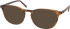 RIP CURL HOU045 sunglasses in Brown
