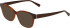 Bogner 1022 sunglasses in Brown