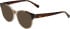 Bogner 1024 sunglasses in Beige