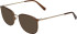 Bogner 2015 sunglasses in Brown