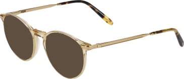 Jaguar 2704 sunglasses in Brown