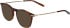 Jaguar 2707 sunglasses in Tortoiseshell