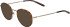 Jaguar 3720 sunglasses in Gold/Tortoiseshell