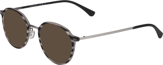 Jaguar 6815 sunglasses in Grey