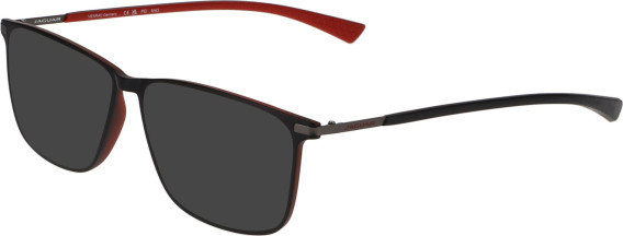Jaguar 6825 sunglasses in Brown