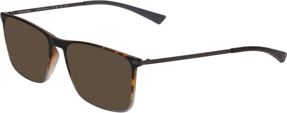 Jaguar 6828 sunglasses in Brown