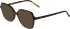 JOOP! 1198 sunglasses in Tortoiseshell