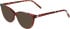 Menrad 1140 sunglasses in Red