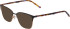 Menrad 3456 sunglasses in Anthracite