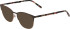 Menrad 3458 sunglasses in Grey