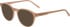 Morgan 1149 sunglasses in Beige