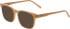 Morgan 1150 sunglasses in Beige