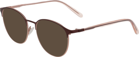Morgan 3217 sunglasses in Brown