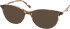 RIP CURL FOU062 sunglasses in Brown