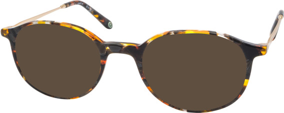 RIP CURL FOU066 sunglasses in Tortoiseshell Clear