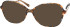 RIP CURL FOU068 sunglasses in Brown Multicoloured