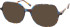 RIP CURL FOU074 sunglasses in Brown