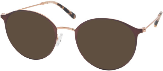 RIP CURL GOM011 sunglasses in Brown