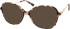 RIP CURL GOU044 sunglasses in Brown