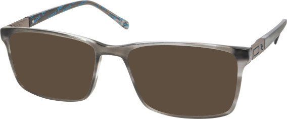 RIP CURL HOA005 sunglasses in Grey