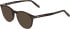 Jaguar 1704 sunglasses in Brown