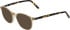 Jaguar 1708 sunglasses in Brown