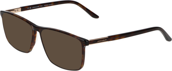 Jaguar 2009 sunglasses in Brown