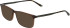 Jaguar 2501 sunglasses in Brown