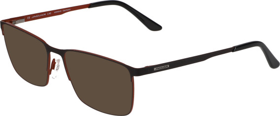 Jaguar 3097 sunglasses in Brown/Dark Red