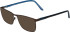 Jaguar 3604 sunglasses in Brown
