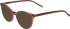JOOP! 1190 sunglasses in Brown