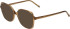 JOOP! 1198 sunglasses in Light Brown