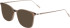 JOOP! 2087 sunglasses in Brown