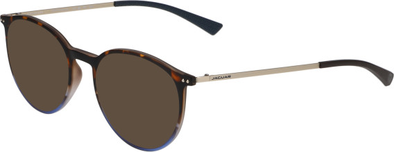 Jaguar 6827 sunglasses in Brown