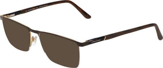 Jaguar 3100 sunglasses in Brown