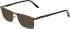 Jaguar 3100 sunglasses in Brown