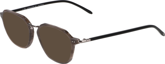 Jaguar 2706 sunglasses in Brown
