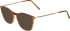 Jaguar 2705 sunglasses in Brown