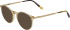 Jaguar 2704 sunglasses in Brown