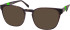 RIP CURL HOA004 sunglasses in Dark Brown