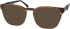 RIP CURL HOA004 sunglasses in Brown