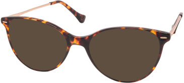 RIP CURL GOU026 sunglasses in Brown
