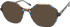 RIP CURL FOU072 sunglasses in Brown