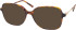 RIP CURL FOU070 sunglasses in Tortoiseshell