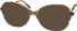 RIP CURL FOU068 sunglasses in Brown