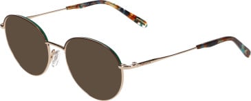 Morgan 3240 sunglasses in Brown